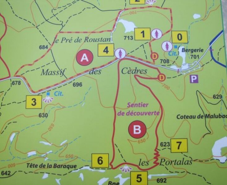 Sentier Botanique 